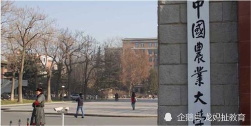 重慶迎五所雙一流大學布局，含兩所985高校南京環保工程校區